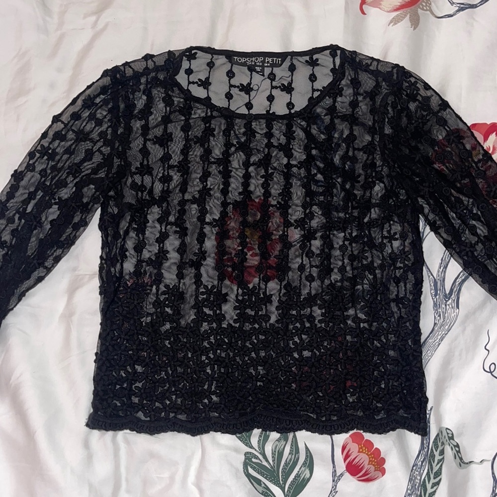 Topshop gorgeous sheer embroidered long sleeve top